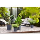 elho greensense aqua care rund 35 cm - holzkohlengrau