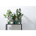 elho brussels Kruka 16 cm - Rund