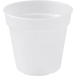 elho green basics Orchidee | transparent - 15 cm