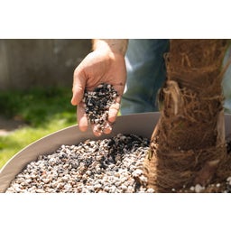 Lechuza Substrat Palm-PON - 25 Liter