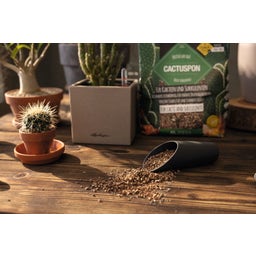 Lechuza Substrat Cactus-PON - 6 litrov
