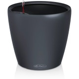Lechuza Vaso - CLASSICO Color LS 43