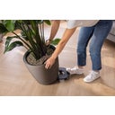 Lechuza CLASSICO Color LS 43 Planter - Slate Grey