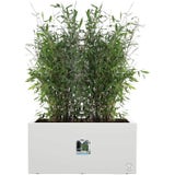 elho vivo next Long Planter - 80 cm
