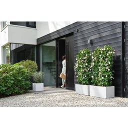 elho vivo next Square Planter - 30cm - white