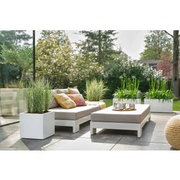 elho vivo next Square Planter - 30cm - white
