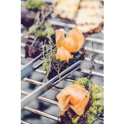 höfats Pinze per Barbecue