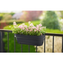 elho Balconnière VIBIA Campana - 70 cm - Anthracite