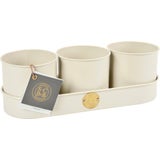 Burgon & Ball Kräutertöpfe Set - Creme