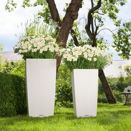 Lechuza Jardinière CUBICO Cottage 40
