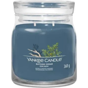Yankee Candle Duftkerze Signature Jar Bayside Cedar - Medium