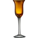 Bicchierini da Liquore Colorati - 6 Pezzi - 1 set