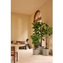 elho eden aquacare medium, 40 cm - Tortora