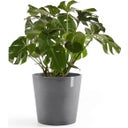 Ecopots Amsterdam, siva