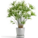 Ecopots Untersetzer Wheels Oslo weißgrau - ∅ 28,90, Höhe 8,5 cm