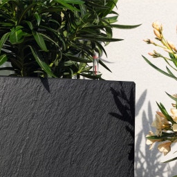 Lechuza CANTO Slatestone 30 Low - Grigio scuro