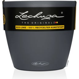 Lechuza Jardinière CLASSICO Color 28
