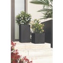 Lechuza CANTO Slatestone 30 Low - Grigio scuro
