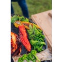 FIRE KITCHEN avec BOWL 57 Set Plancha Grille basse