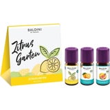 Lot de 3 Parfums Zitrusgarten® Bio Baldini