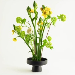 Hanataba Ikebana Bowl - Black