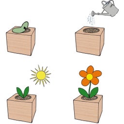 Feel Green ecocube 