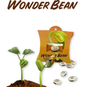 Feel Green WonderBean 