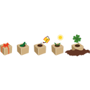 Green Celebrations 