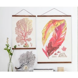 Sköna Ting Posterleiste 50 cm - 1 Stk