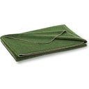 Steiner 1888 Decke Alina