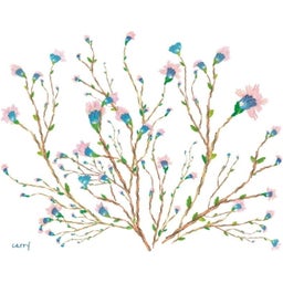 CARRY Bottle Bouteille - Hanami - 1 pièce