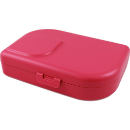 Emil – die Flasche® Brotbox - ajaa! - Pink