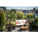 elho greenville Planter Round 25 cm - Lively Black