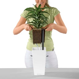 Lechuza MAXI CUBI Tabletop Planter