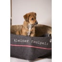 David Fussenegger Pet Blanket 