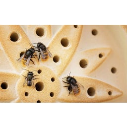Denk Ceramic Wild Bee House 