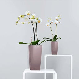 Lechuza MAXI CUBI Tabletop Planter