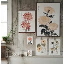 Sköna Ting Posterleiste 50 cm - 1 Stk