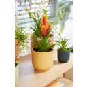 elho Vibes Fold Round, 22 cm